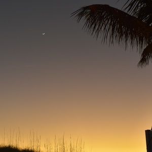 Meet your Posher, Ava